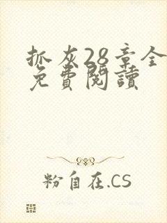 抓灰28章全部免费阅读