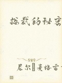 总裁的秘密情人