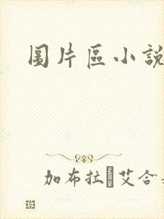 图片区小说区
