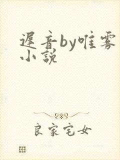 迟音by唯雾的小说封面