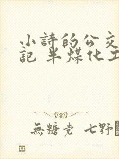 小诗的公交车日记 半煤化工封面