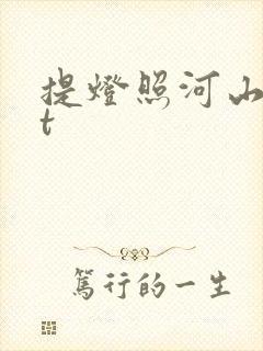 提灯照河山txt