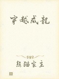 穿越成龙