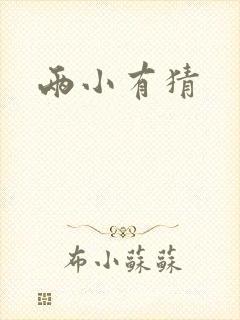 两小有猜封面
