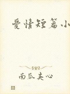 爱情短篇小说封面