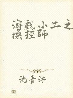 游戏小工之元素操控师封面