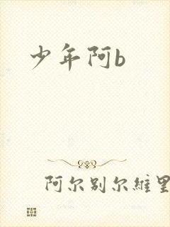 少年阿b
