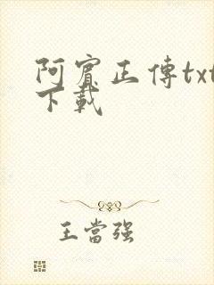 阿宾正传txt下载封面