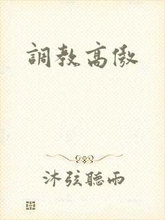 调教高傲