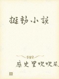 挺动小说