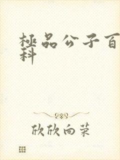 极品公子百度百科