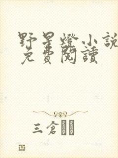 野星灯小说全文免费阅读封面