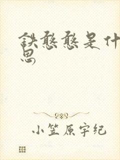 铁憨憨是什么意思封面