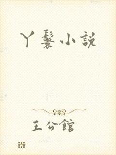 丫鬟小说封面