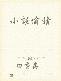 小说偷情封面