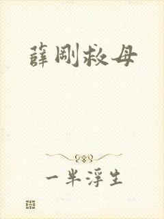 薛刚救母封面