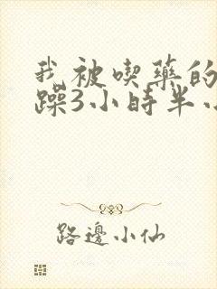 我被吃药的公狂躁3小时半小说封面
