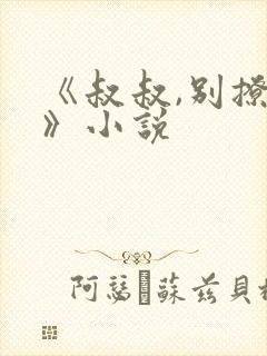《叔叔,别撩我》小说