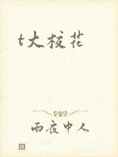 t大校花