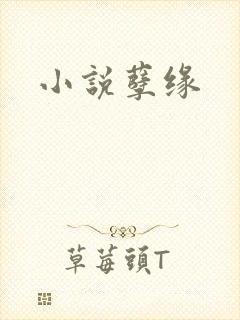 小说孽缘
