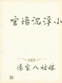 官场沉浮小说