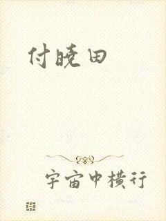 付晓田