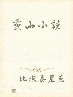 灵山小说封面