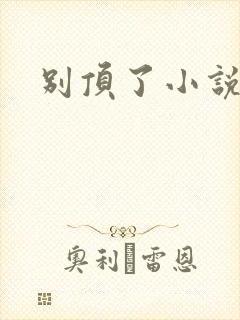 别顶了小说