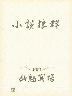小说狼群封面