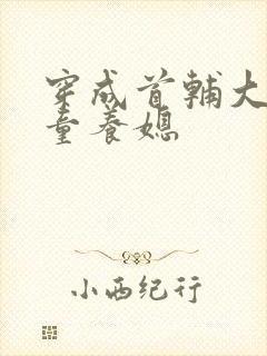 穿成首辅大人的童养媳