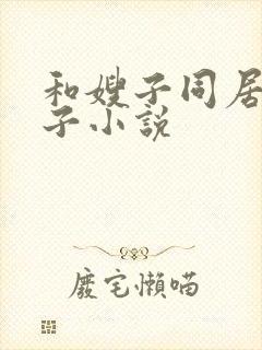 和嫂子同居的日子小说封面