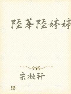 陆华陆婷婷封面