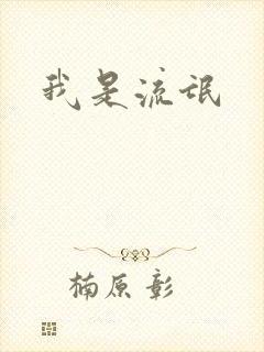 我是流氓封面