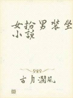 女扮男装坐江山小说