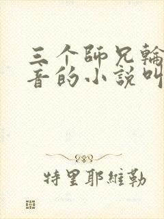 三个师兄轮流上音的小说叫什么封面