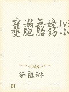 宠溺无边1v3双胞胎的小说