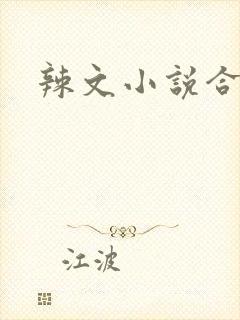 辣文小说合集
