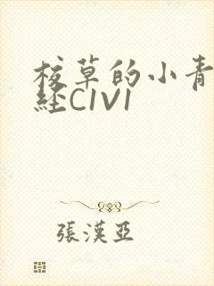 校草的小青梅不经C1V1