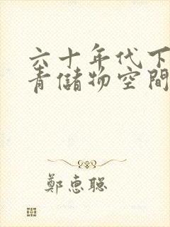 六十年代下乡知青储物空间封面