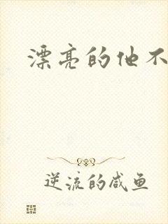 漂亮的他不说话