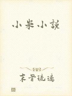 小米小说