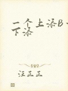 一个上添B一个下添