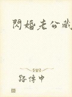 闪婚老公藏不住封面