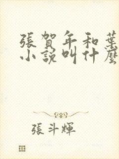 张贺年和叶繁姿小说叫什么名字封面