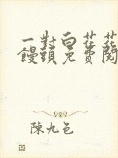 一对白花花的大馒头免费阅读