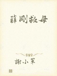 薛刚救母封面
