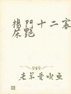 杨门十二寡妇肉床艳