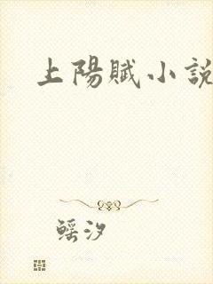 上阳赋小说