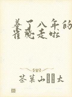 养了八年的金丝雀飞走啦封面