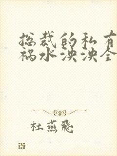 总裁的私有宝贝祸水泱泱全文阅读封面